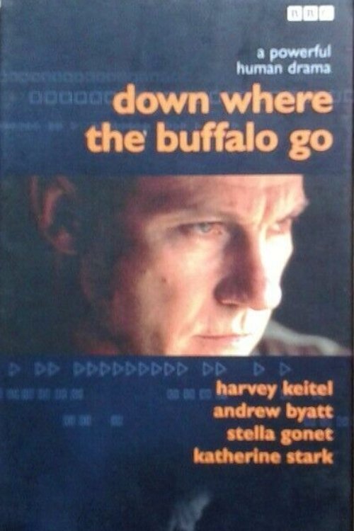 Постер Down Where the Buffalo Go